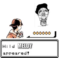 Blank Wild Pokemon Appears
