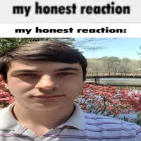 My Honest Reaction