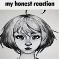 My Honest Reaction