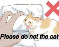 Please do not the cat