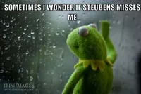 kermit window
