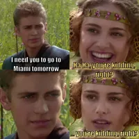 Anakin Padme 4 Panel