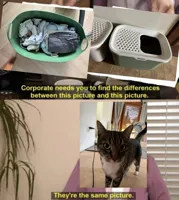 Corporate needs you to find the differences
