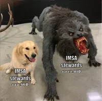 Two dog meme