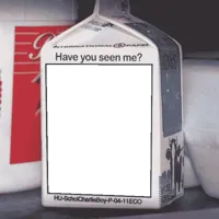 Missing Person