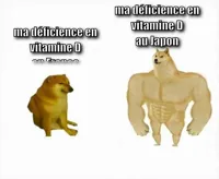 Strong dog vs weak dog (Flipped)