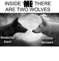 Inside you there are two wolves