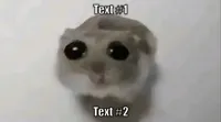 Sad Hamster / Hamster With Big Eyes / Crying Hamster
