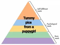 Maslow's Hierarchy of Needs