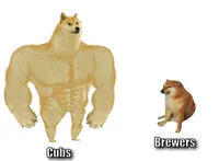 Big dog small dog