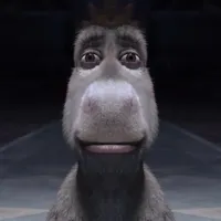 donkey staring