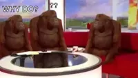 Where Banana (blank)