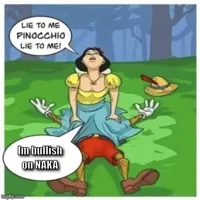 lie to me pinocchio