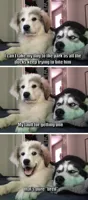 Bad pun dogs
