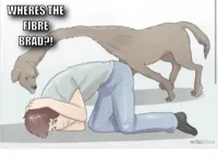 Long neck dog