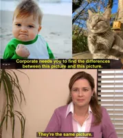 They're The Same Picture