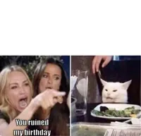 Real housewives screaming cat