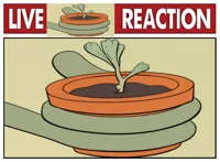 Live reaction