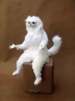 White Cat What
