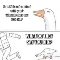 Goose Chase
