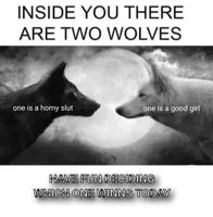 Inside you there are two wolves