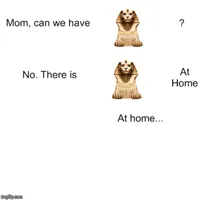 Mom can we have