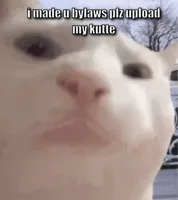 I showed you my
