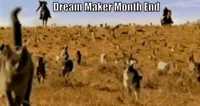 cat herding cats