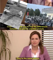 They're The Same Picture