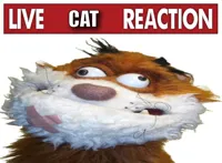 Live reaction