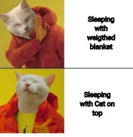 cat drake