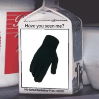 Missing Person