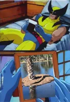 Wolverine crush 