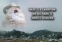 Screaming Cowboy Cat