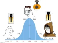 bell curve