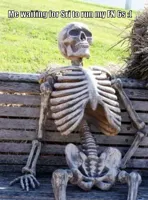 Skeleton on bench