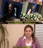 They're The Same Picture