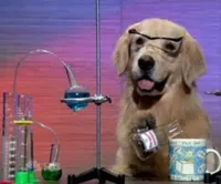 Science Dog