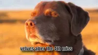 cooked dog