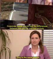 They're The Same Picture