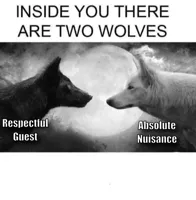 Inside you there are two wolves