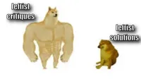 Chad doge