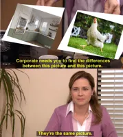 They're The Same Picture