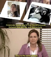 Corporate needs you to find the differences