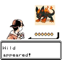 Blank Wild Pokemon Appears
