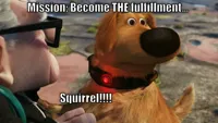 up! squirrel dog