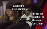 Grumpy Cat Driving