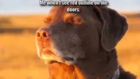 dog with eyes closed