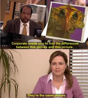 They're The Same Picture