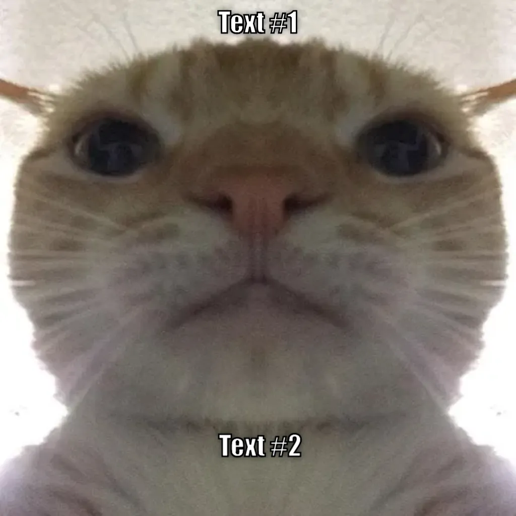 Staring Cat/Gusic Meme